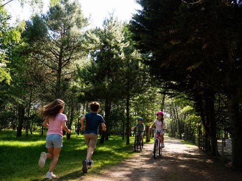 Camping Les Pirates de Carnac - Camping Morbihan - Image N°114