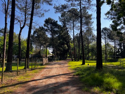 Camping Les Bruyères Carnac - Camping Morbihan - Image N°174