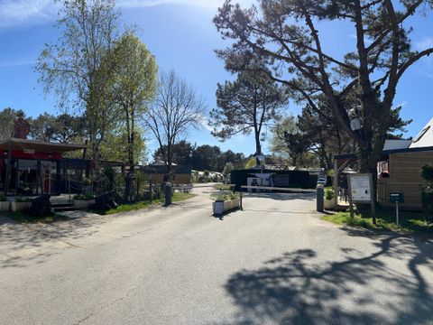 Camping Les Bruyères Carnac - Camping Morbihan - Image N°117