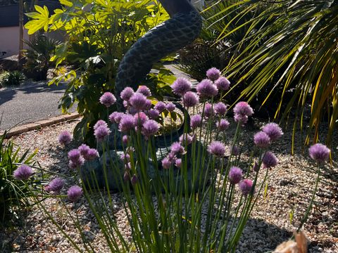 Camping Les Bruyères Carnac - Camping Morbihan - Image N°194