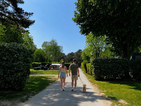 Camping Les Pirates de Carnac - Camping Morbihan - Image N°112