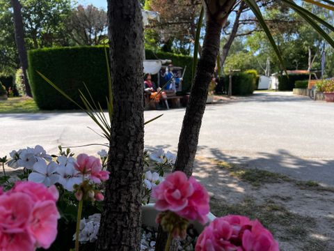 Camping Les Bruyères Carnac - Camping Morbihan - Image N°221