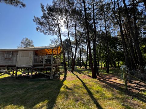 Camping Les Bruyères Carnac - Camping Morbihan - Image N°145