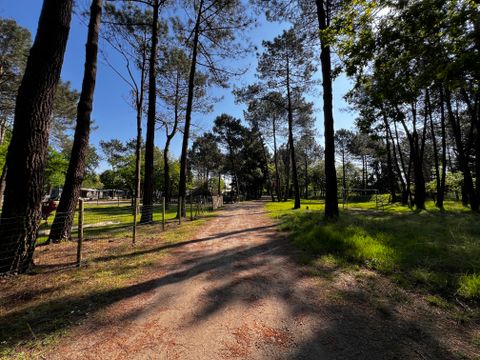 Camping Les Bruyères Carnac - Camping Morbihan - Image N°175