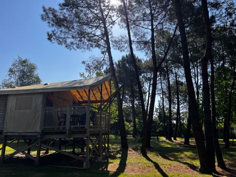 Camping Les Bruyères Carnac - Camping Morbihan - Image N°178