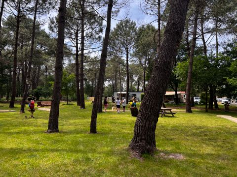 Camping Les Bruyères Carnac - Camping Morbihan - Image N°219