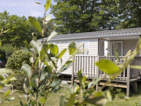 MOBILHOME 4 personnes - Mobil-Home Confort Hortensia - 2 ch. - TV