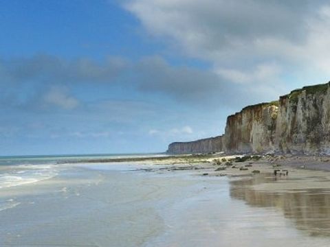 VVF Villages - La Fontaine - Larmor Plage - Camping Morbihan - Image N°9