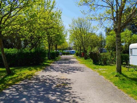 VVF Villages - La Fontaine - Larmor Plage - Camping Morbihan - Image N°6