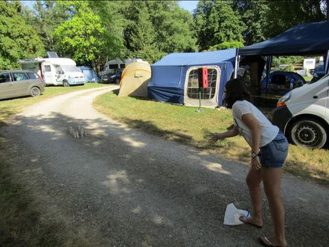 Camping des Lancières - Camping Yonne - Image N°19