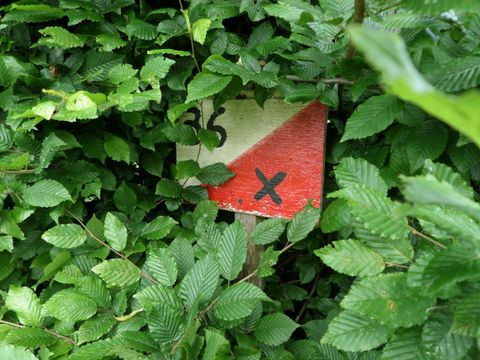 Camping Le Bois Guillaume - Camping Yonne - Image N°21