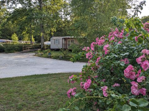 Camping Le Bois Guillaume - Camping Yonne - Image N°6