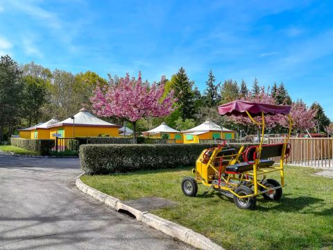 Flower Camping le Jardin de Sully - Camping Loiret - Image N°12