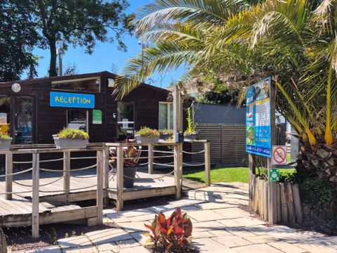 Camping Paradis du Quinquis - Camping Finistère - Image N°9