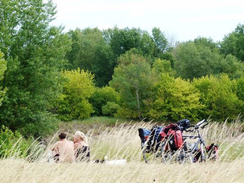 Camping Le Port - Camping Loiret - Image N°5
