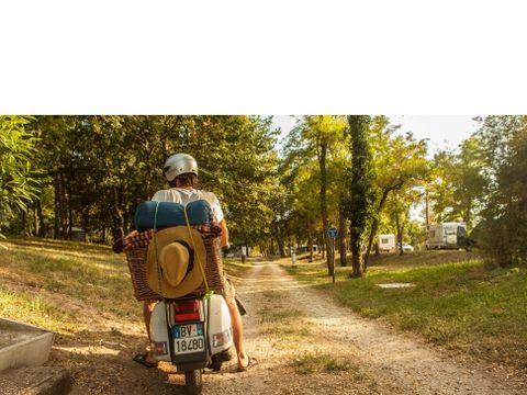 Camping Le Port - Camping Loiret - Image N°7