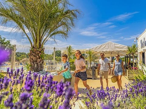 Le Cabellou Plage - Camping Finistère - Image N°26