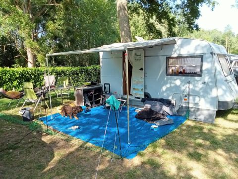 Camping L'isle Aux Moulins - Camping Loiret - Image N°2