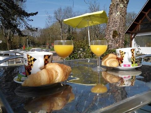 Camping Les Platanes - Camping Yonne - Image N°20