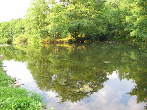 Camping Le Pont De Maxonchamp - Camping Vosges - Image N°11