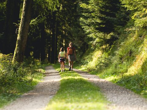 Camping du Lac Au Duc - Camping Morbihan - Image N°18