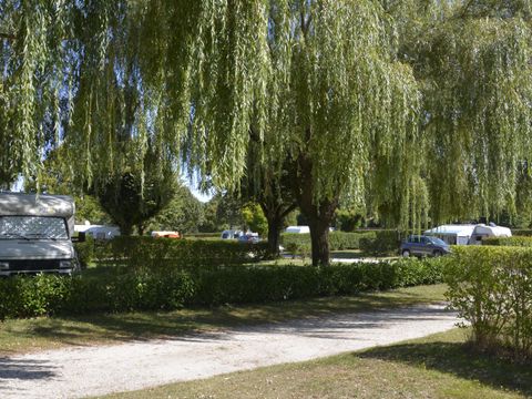 Camping Le Montmorency - Camping Haute-Marne - Image N°15
