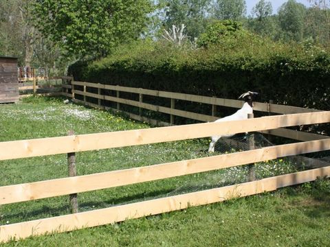 Camping Le Septentrion - Camping Sarthe - Image N°11