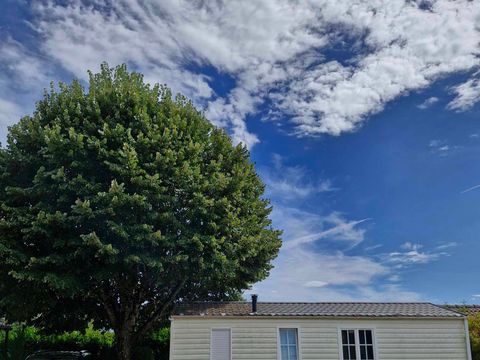 MOBILHOME 4 personnes - Mobil home MARGUERITE - 2 chambres - terrasse 