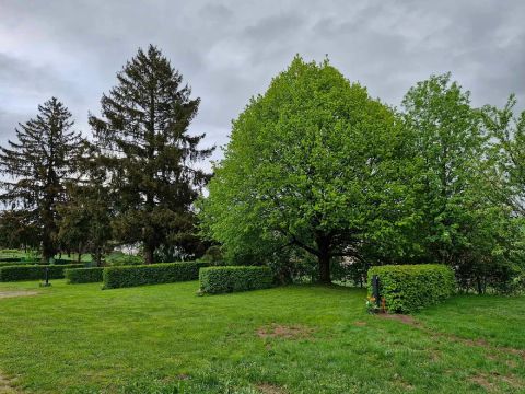 Camping Fraiteux - Camping Vosges - Image N°15