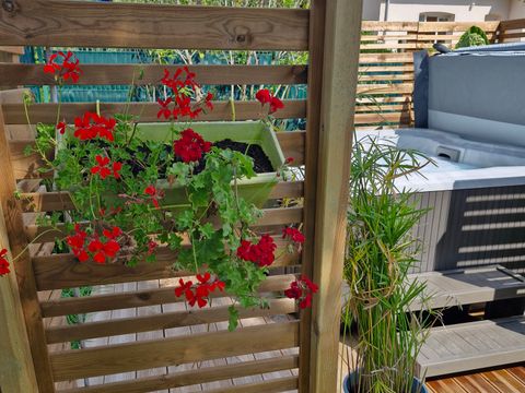 Camping Fraiteux - Camping Vosges - Image N°50