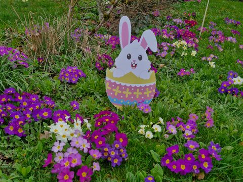 Camping Fraiteux - Camping Vosges - Image N°59