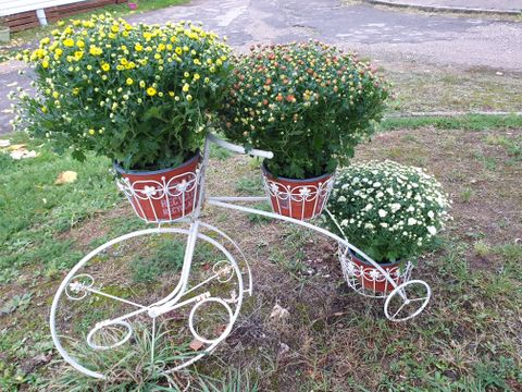 Camping Fraiteux - Camping Vosges - Image N°65