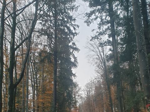 Camping Fraiteux - Camping Vosges - Image N°66