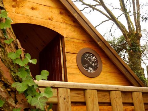 HÉBERGEMENT INSOLITE 4 personnes - Cabane Trek
