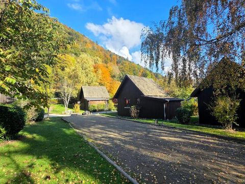 Chalets de la Wormsa - Camping Haut-Rhin - Image N°50