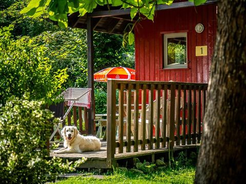 Chalets de la Wormsa - Camping Haut-Rhin - Image N°12