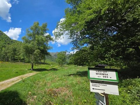 Chalets de la Wormsa - Camping Haut-Rhin - Image N°52