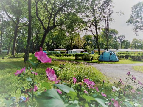 Emplacement - Emplacement Nature Camping tente, caravane, camping car - surface >100m² MAXI 4 PERS