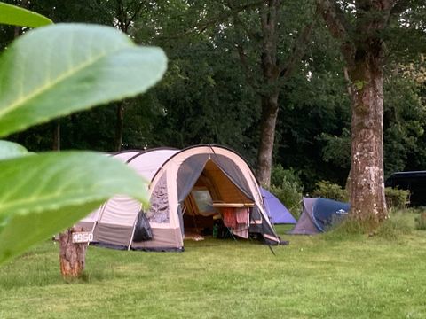 Emplacement - Emplacement Nature Camping tente, caravane, camping car - surface >100m² MAXI 4 PERS