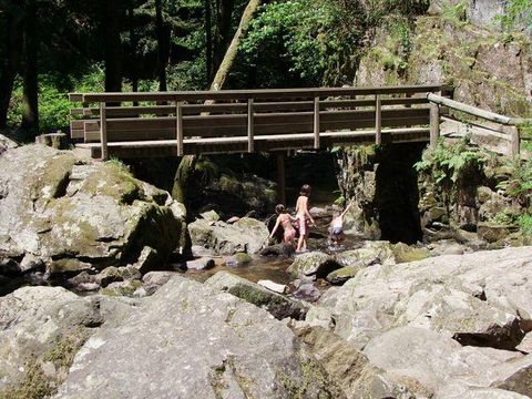 Camping Verte Vallée - Camping Vosges - Image N°47