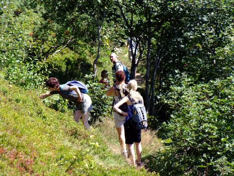 Camping Verte Vallée - Camping Vosges - Image N°32