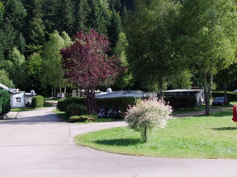 Emplacement - Forfait Privilège +100 m² (1 tente, caravane + 1 voiture ou camping-car / électricité 10A)