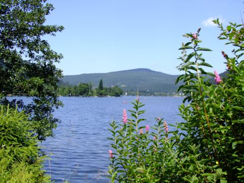 Camping Verte Vallée - Camping Vosges - Image N°79