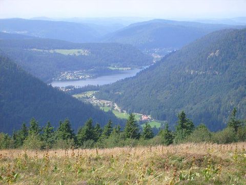 Camping Verte Vallée - Camping Vosges - Image N°51