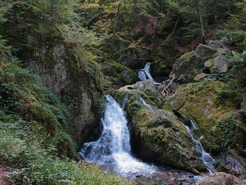 Camping Verte Vallée - Camping Vosges - Image N°48