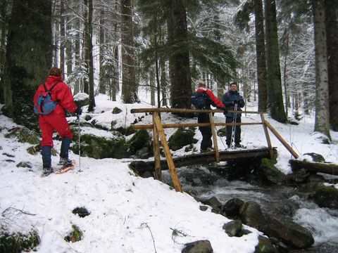 Camping Verte Vallée - Camping Vosges - Image N°30