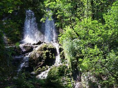 Camping Verte Vallée - Camping Vosges - Image N°52