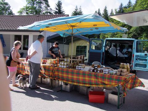 Camping Verte Vallée - Camping Vosges - Image N°70