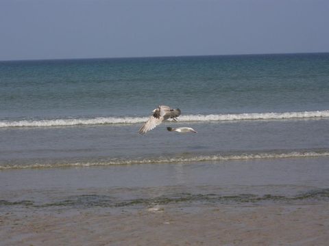 Camping de Goulit Ar Guer - Camping Finistère - Image N°17