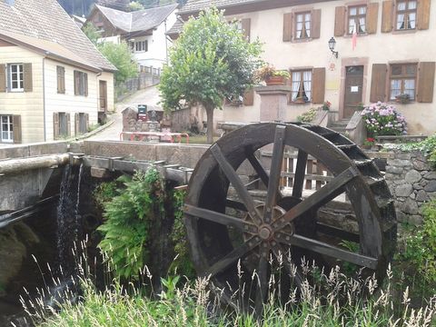 Camping Municipal Les Verts Bois - Camping Haut-Rhin - Image N°6